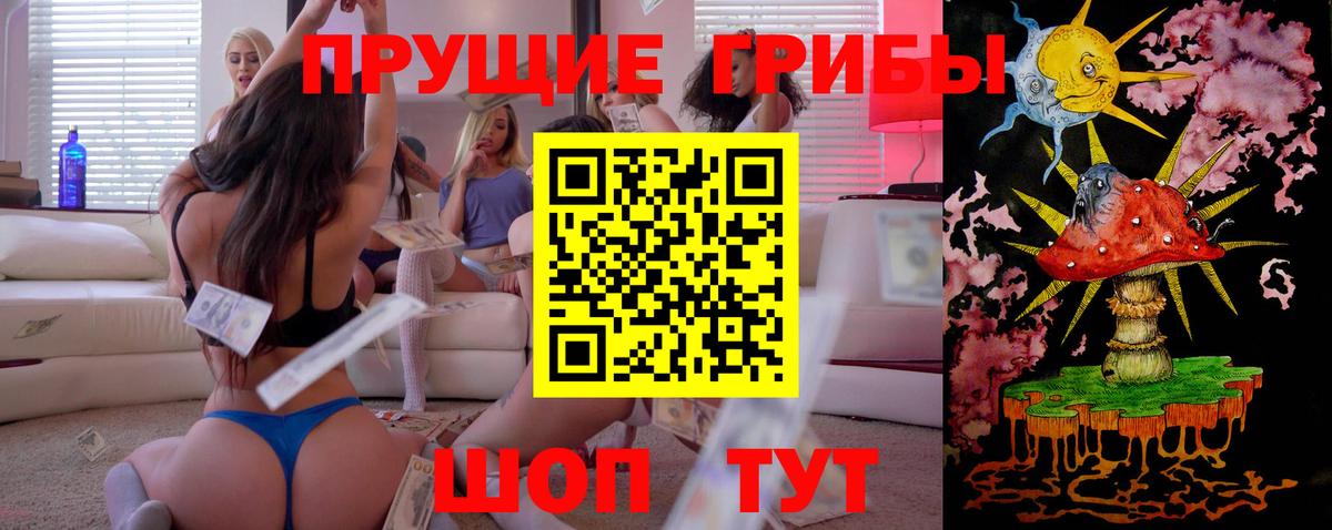 Псилоцибиновые грибы GOLDEN TEACHER  Вход с VPN  Альметьевск  Галлюциногенные грибы MAGIC MUSHROOMS 